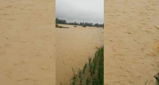 महोत्तरीमा बाढीको बितन्डा, हेर्दाहेर्दै उर्वर भूमि बगरमा परीणत