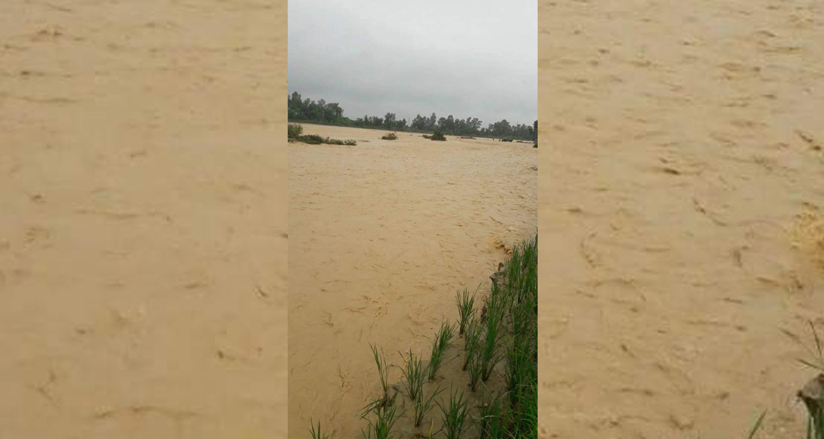 महोत्तरीमा बाढीको बितन्डा, हेर्दाहेर्दै उर्वर भूमि बगरमा परीणत