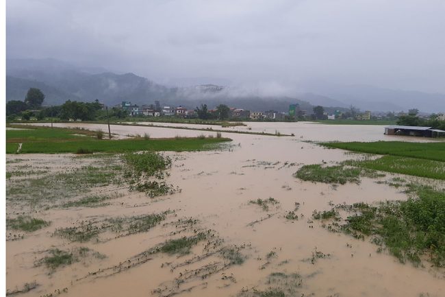 बाढीपहिरोबाट ७ जनाको मृत्यु, ७ बेपत्ता