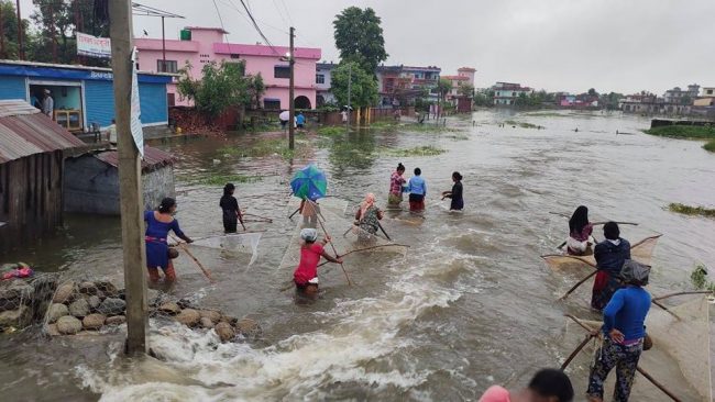 वर्षाले धनगढी जलमग्न
