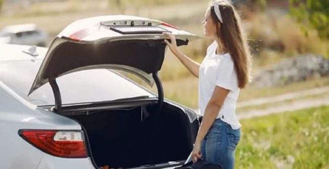 १ वर्षदेखि कारमा २ बालबालिकाको लाश लिएर घुमिरहेकी थिइन्, ट्राफिक जाँचमा खुलासा