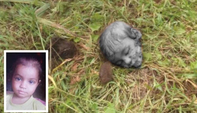 बाबाको काखमा बसेकी छोरीलाई चितुवाले खोसेर लग्यो, ३ सय मिटर पर टाउको मात्र भेटियो