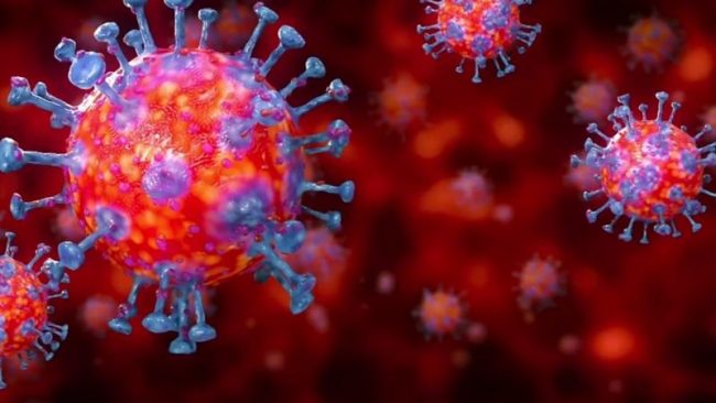 सुदूरपश्चिमः सातामै न्यून सङ्क्रमण