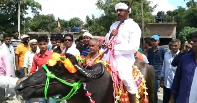 यी हुन् भैंसीमाथि चढेर उम्मेदवारी दर्ता गर्ने नेता