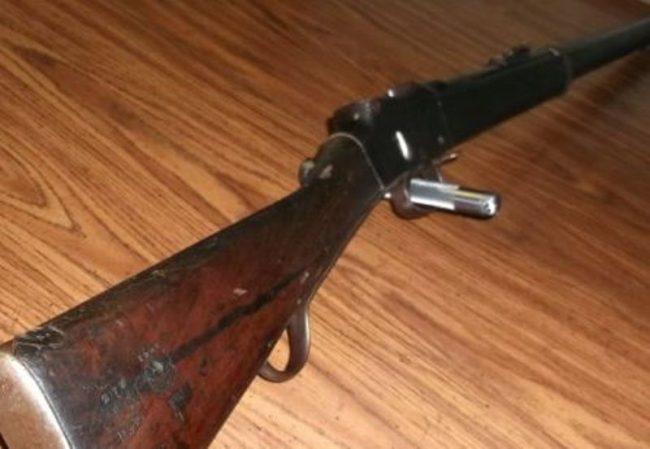 भरुवा बन्दुकसहित दुई पक्राउ