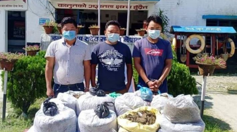 मोरङमा लागु औषधको कारोबार गर्ने दाजुभाइ सहित तीन पक्राउ