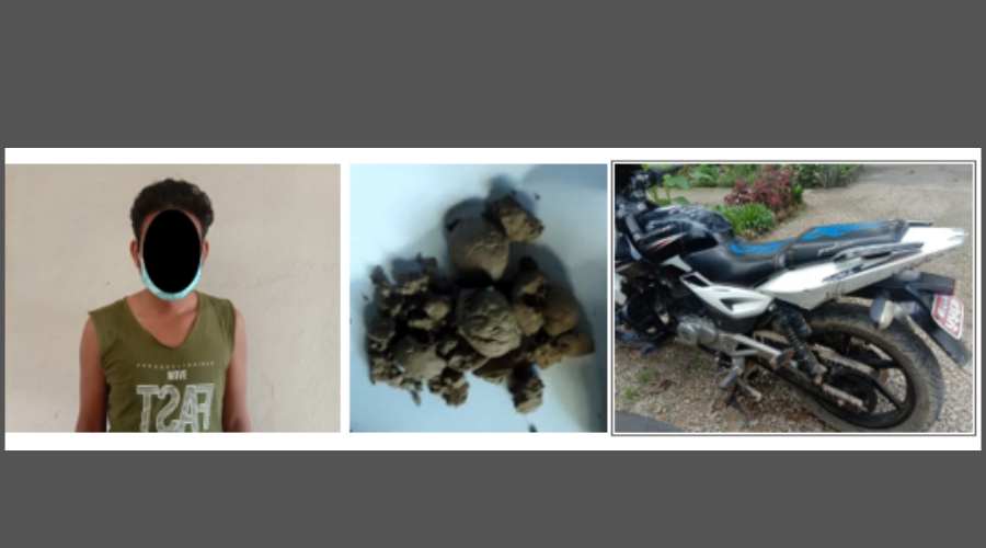 लागु औषध सहित एक पक्राउ