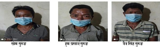 गोरु काटेको आरोपमा ३ जना पक्राउ