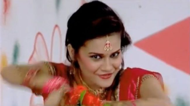 नेपाली–अमेरिकन कलाकार सङ्घको अध्यक्षमा सुनुवार