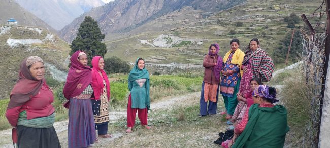 दाना लाग्ने बेलामा धानका बालामा भुस मात्रै