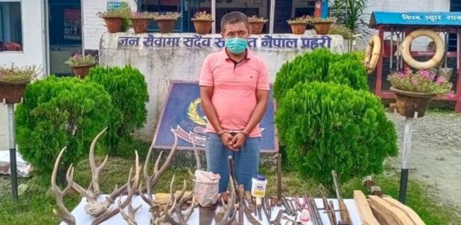 भरुवा बन्दुक बनाएर बेच्ने एक जना पक्राउ