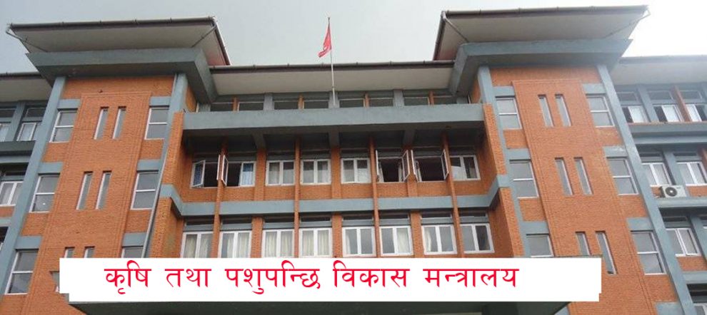 सरकारले तोक्यो धानको न्यूनतम मूल्य