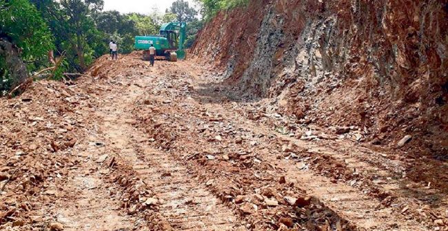 मदन भण्डारी राजमार्गमा रुख काट्ने प्रक्रिया ढिलो हुँदा सडक निर्माणमा समस्या