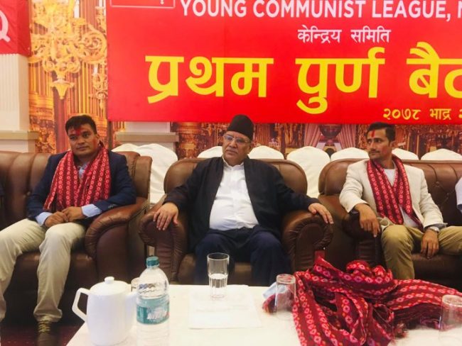 वाइसीएलले बल्ल भेट्टायो नेता