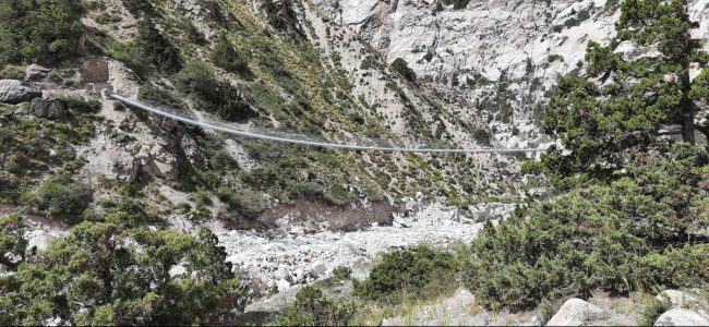 गण्डकीले बनायो एकै वर्ष ११५ झोलुंगे पुल, हालसम्म कति बने ?