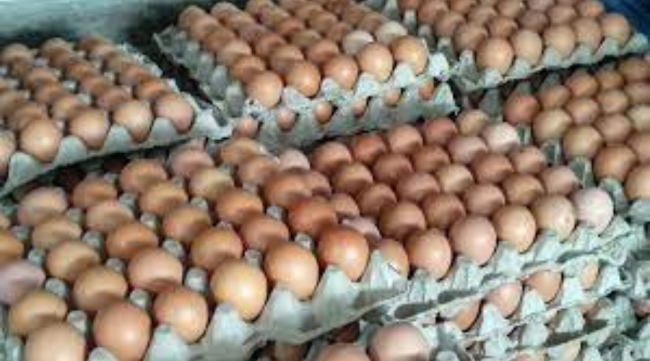 अण्डाको उत्पादन घट्यो, मूल्य बढ्यो