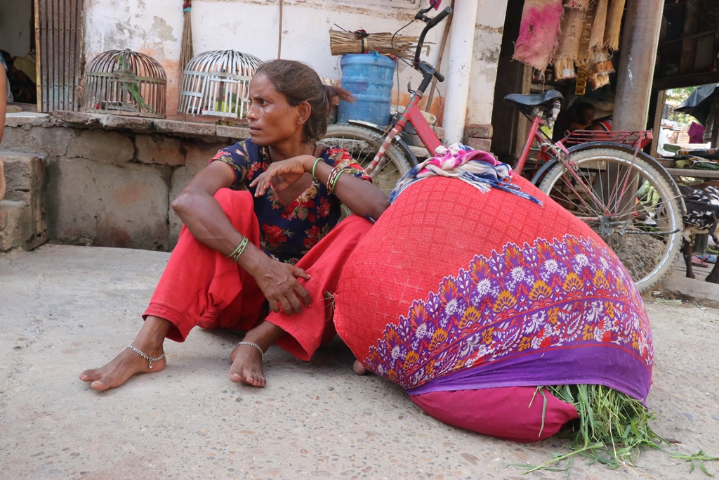 घाँस बिक्री हुन छाडेपछि संकटमा घसियारन समुदाय