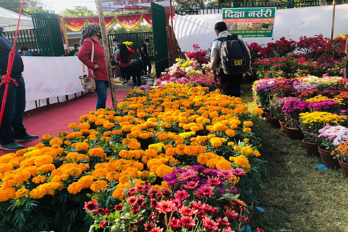 पुष्प प्रदर्शनी एकैदिन २५ लाखको कारोबार