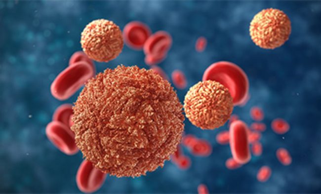 नेपालको सीमाछेउ मानिसमा जीका भाइरस भेटियो, उत्तर प्रदेशको स्वास्थ्य विभाग हाइअलर्टमा