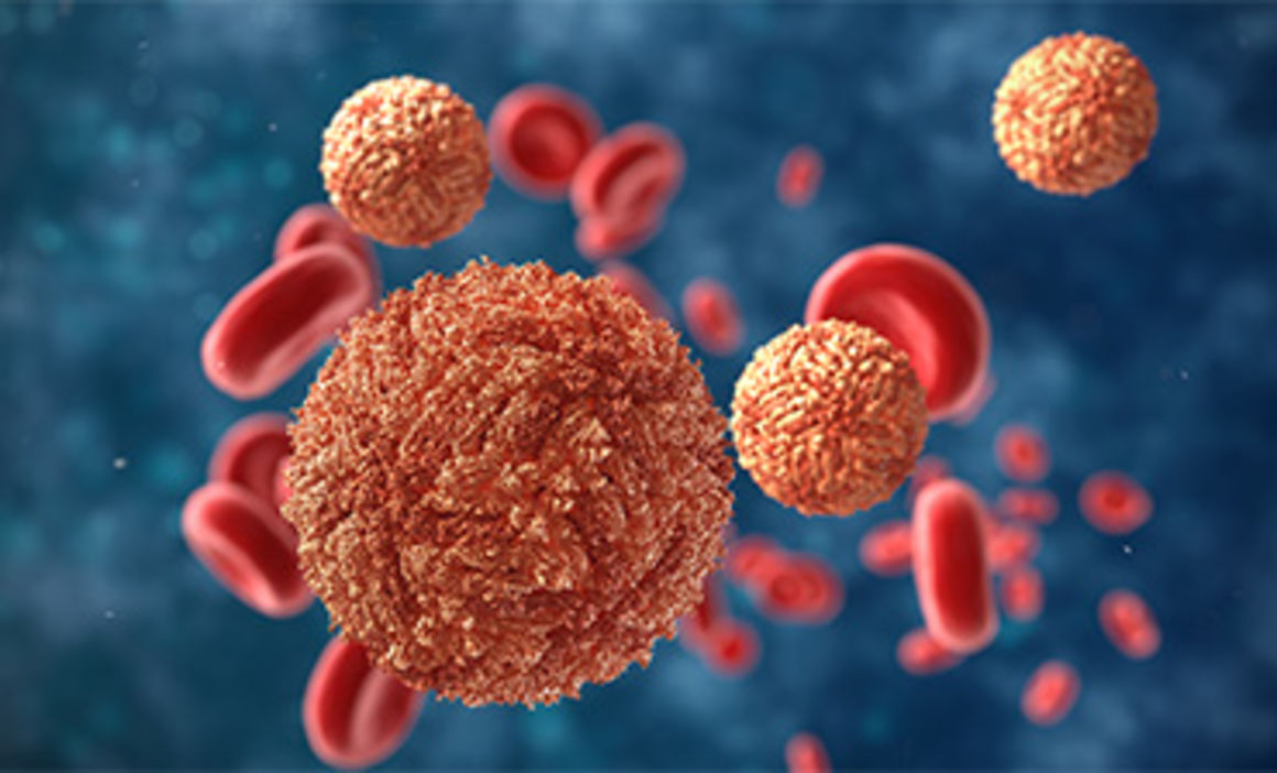 नेपालको सीमाछेउ मानिसमा जीका भाइरस भेटियो, उत्तर प्रदेशको स्वास्थ्य विभाग हाइअलर्टमा