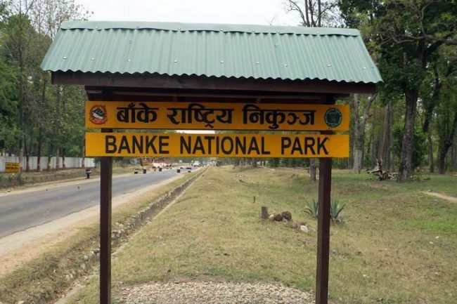 पर्यटन प्रवद्र्धन अभियान गर्दै बाँके निकुञ्ज