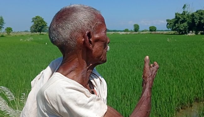 मल नपाएर रौतहटका किसान चिन्तित