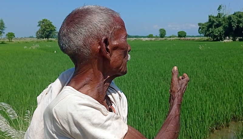 मल नपाएर रौतहटका किसान चिन्तित