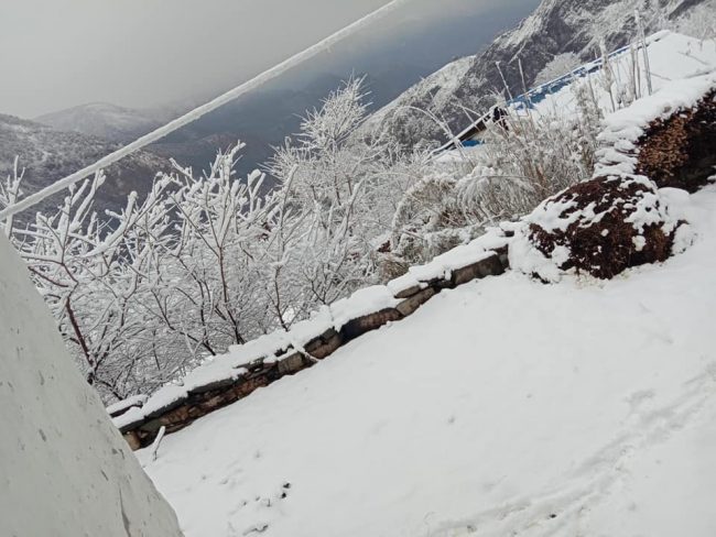 विदेशी पर्यटकसहित १२ जना हिमपातले तुम्लिङमै फसे, हेलिकाेप्टरमार्फत उद्धारकाे तयारी