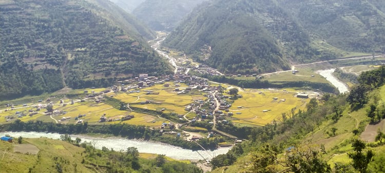 रुकुमका किसानलाई दसैँले छोएन