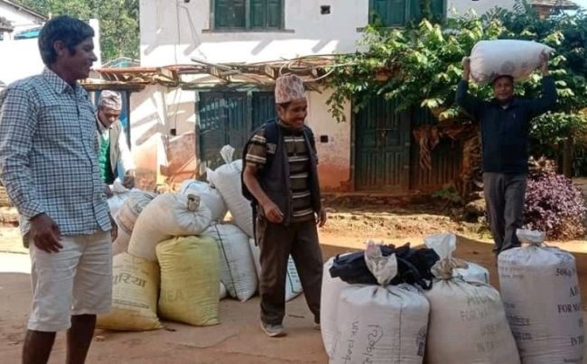 अन्नबालीकाे बीउ किन्ने भेरी अब निर्याततिर, नगरपालिकाले थाल्याे धानदेखि आलुकाे बीउ उत्पादन