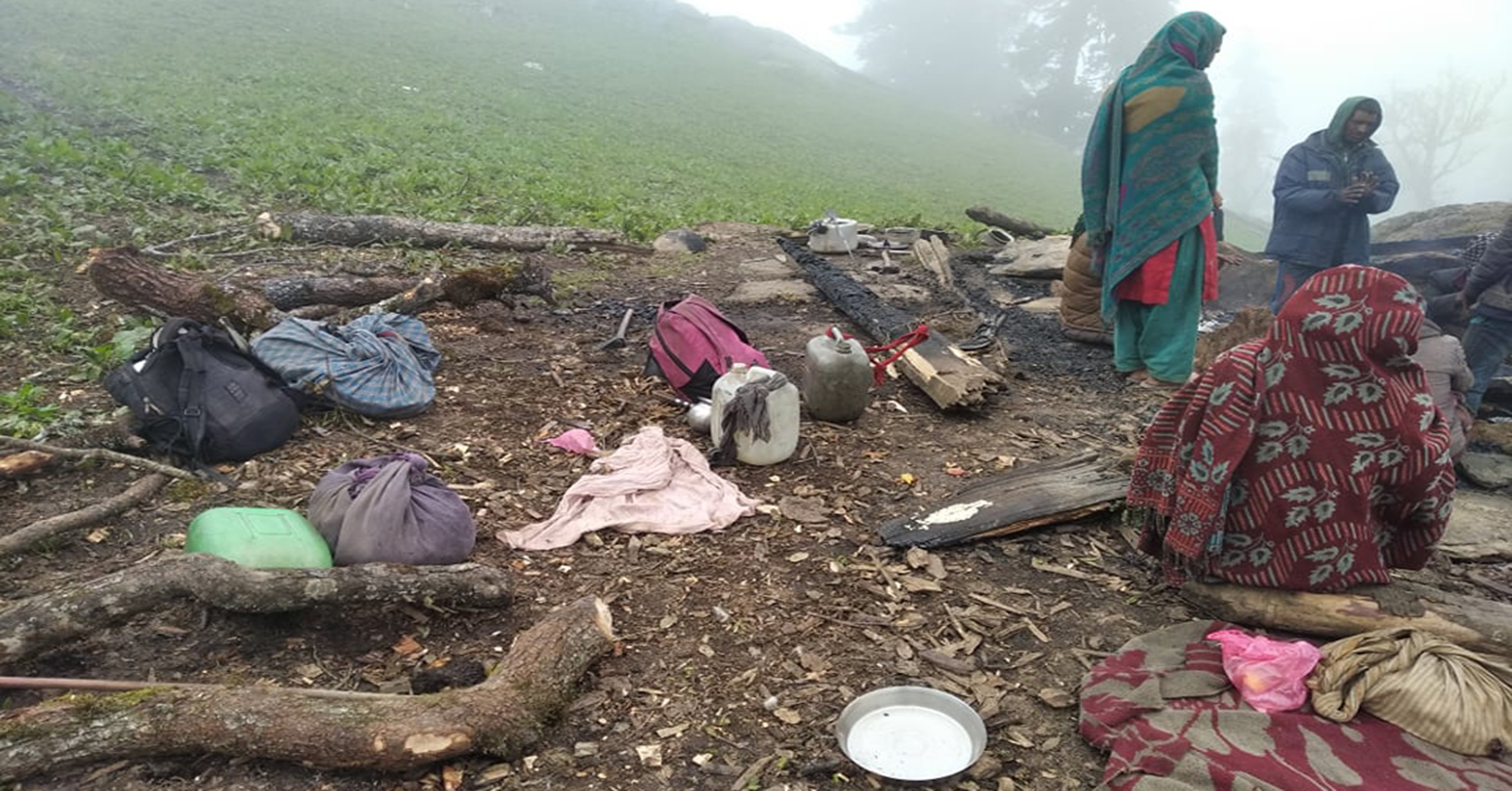 २५ भेडाका पाठा जलेपछि दशैँको चिन्ता