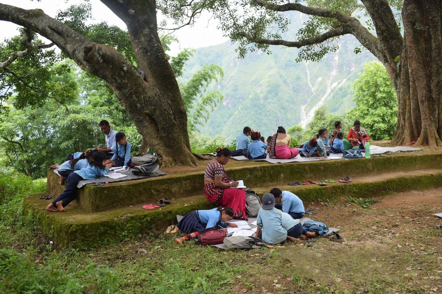 पाल टाँगेर पढाइ