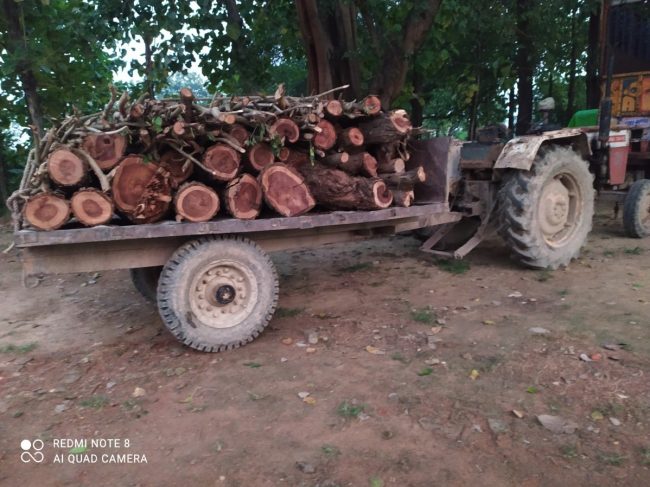 साढे छ लाख मूल्यको अवैध काठ बरामद