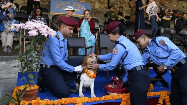 अपराध अनुसन्धानमा उत्कृष्टकार्य गर्ने कुकुर पुरस्कृत