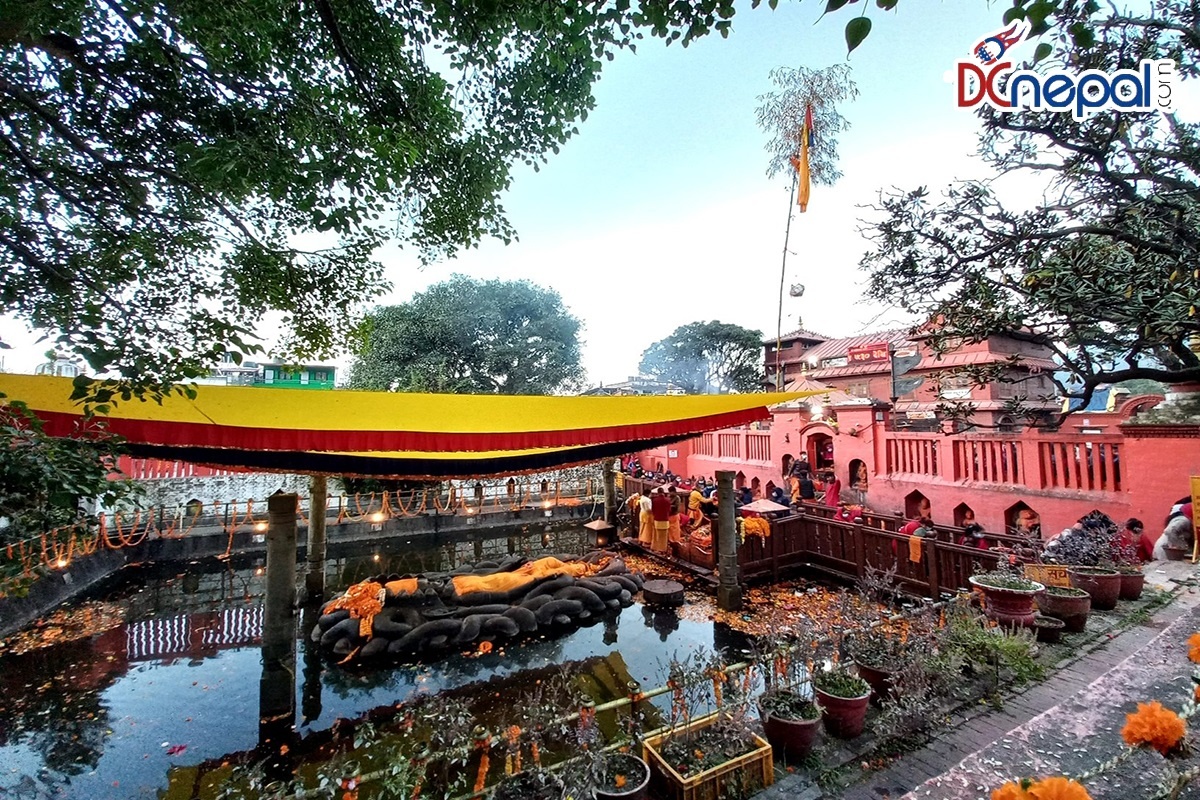 हरिबाेधिनी एकादशीमा भगवान् विष्णुकाे पूजा गर्न नारायणथानमा भक्तजनकाे घुँइचाे (फाेटाेफिचर)