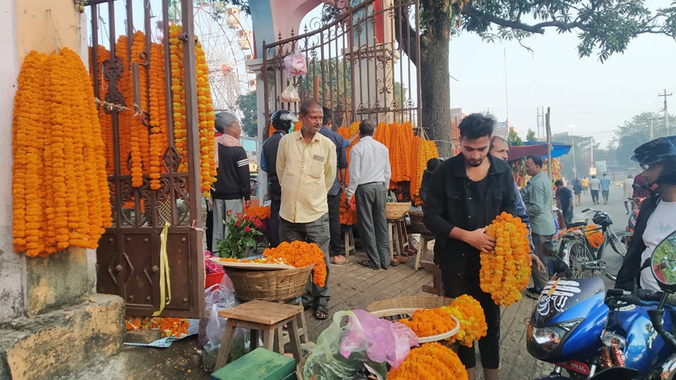 जनकपुरमा दीपावलीमा फूल र केरा थामको माग अत्यधिक
