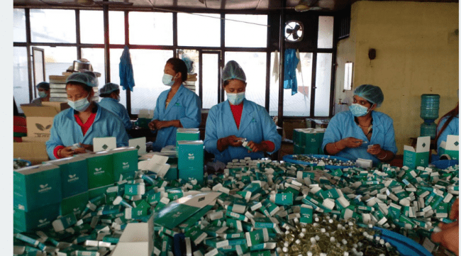 जडीबुटी कम्पनी चालीस वर्षपछि नाफामा, सर्वसाधारणलाई शेयर बाँडिने