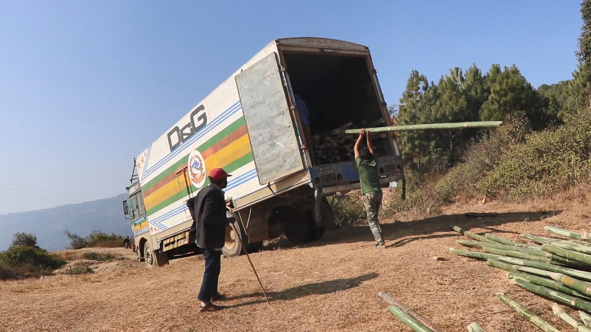 बाँसले बजार पाउन थाल्यो, आम्दानी लिँदै किसान