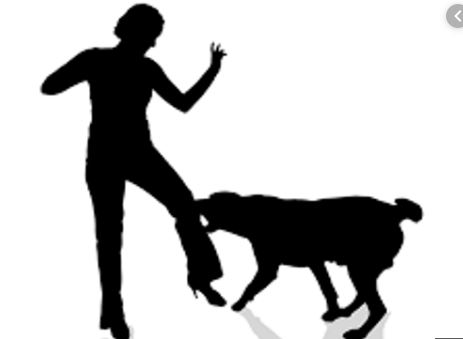 बौलाहा कुकुरको टोकाइबाट पाँच घाइते