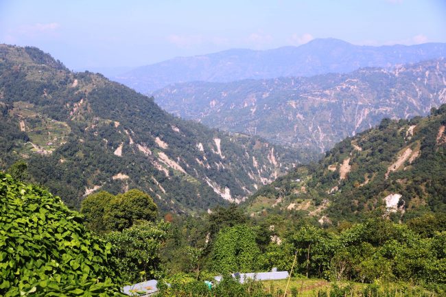 पहिरोले २२ जनाले ज्यान गुमाएको मिक्लाजुङमा प्रधानमन्त्री मात्रै पुगे राहत पुगेन