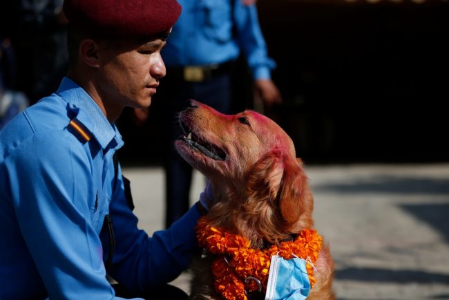 कुकुर तिहारमा सेना र प्रहरीले गरे कुकुर पूजा (फोटोफिचर)