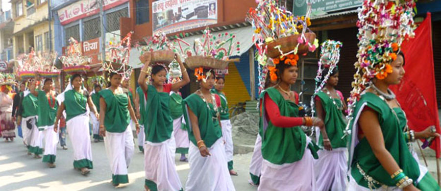 मिथिलाका नारीले दाजुभाइसँग मनाउने पर्व ‘सामा’ समापनको सङ्घारमा