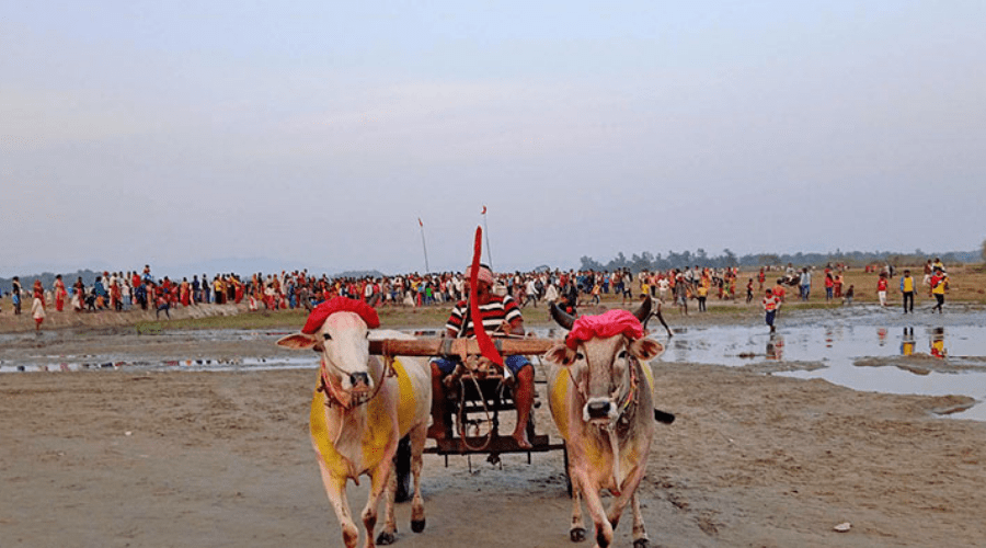 सप्तरीमा गोरुगाडा प्रतियोगिता