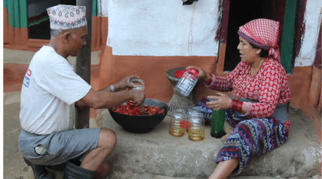 अचार व्यवसायमा रमाउँदै बासुकला