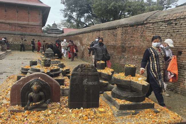 बालाचतुर्दशीको दिन आज पशुपतिनाथ मन्दिरमा जे देखियाे  (फोटो फिचर)