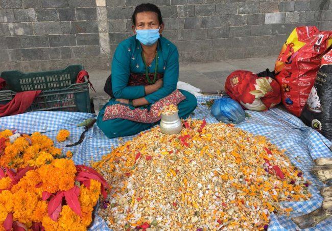 पाशुपत क्षेत्रमा शतबीज छर्न आउने भक्तजनकाे घुइँचाे (तस्वीरहरु)