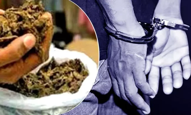 एक क्विन्टल गाँजासहित तीन पक्राउ