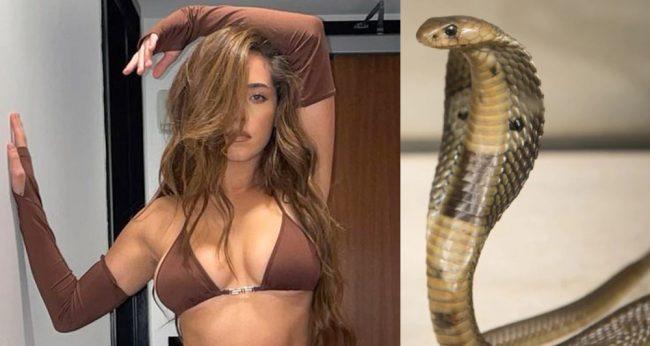 सलमान खानपछि चर्चित पप गायिका माएटालाई पनि सर्पले टोक्यो