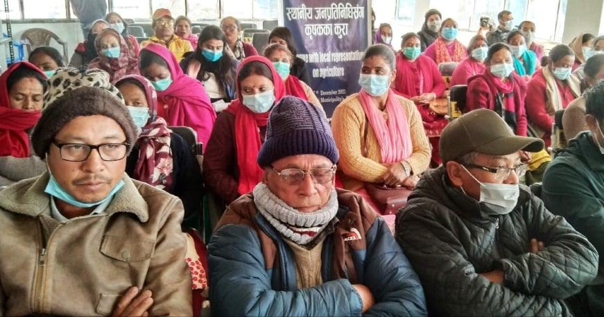 गोदावरीका नगरपालिकाको कृषि अनुदानः किसानको गुनासै गुनासो