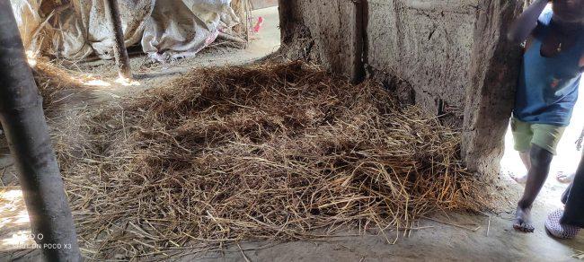 शितलहरमा सप्तरीका दलित विपन्नलाई पुवारको भर